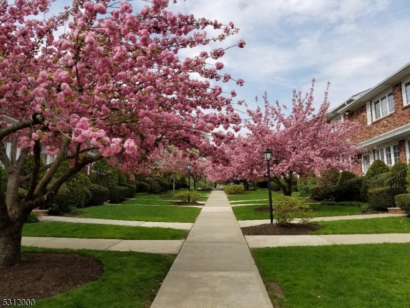 777 Springfield Avenue, Unit 17 Summit, NJ 07901 - Photo 2 of 25 a front view of a house with a yard