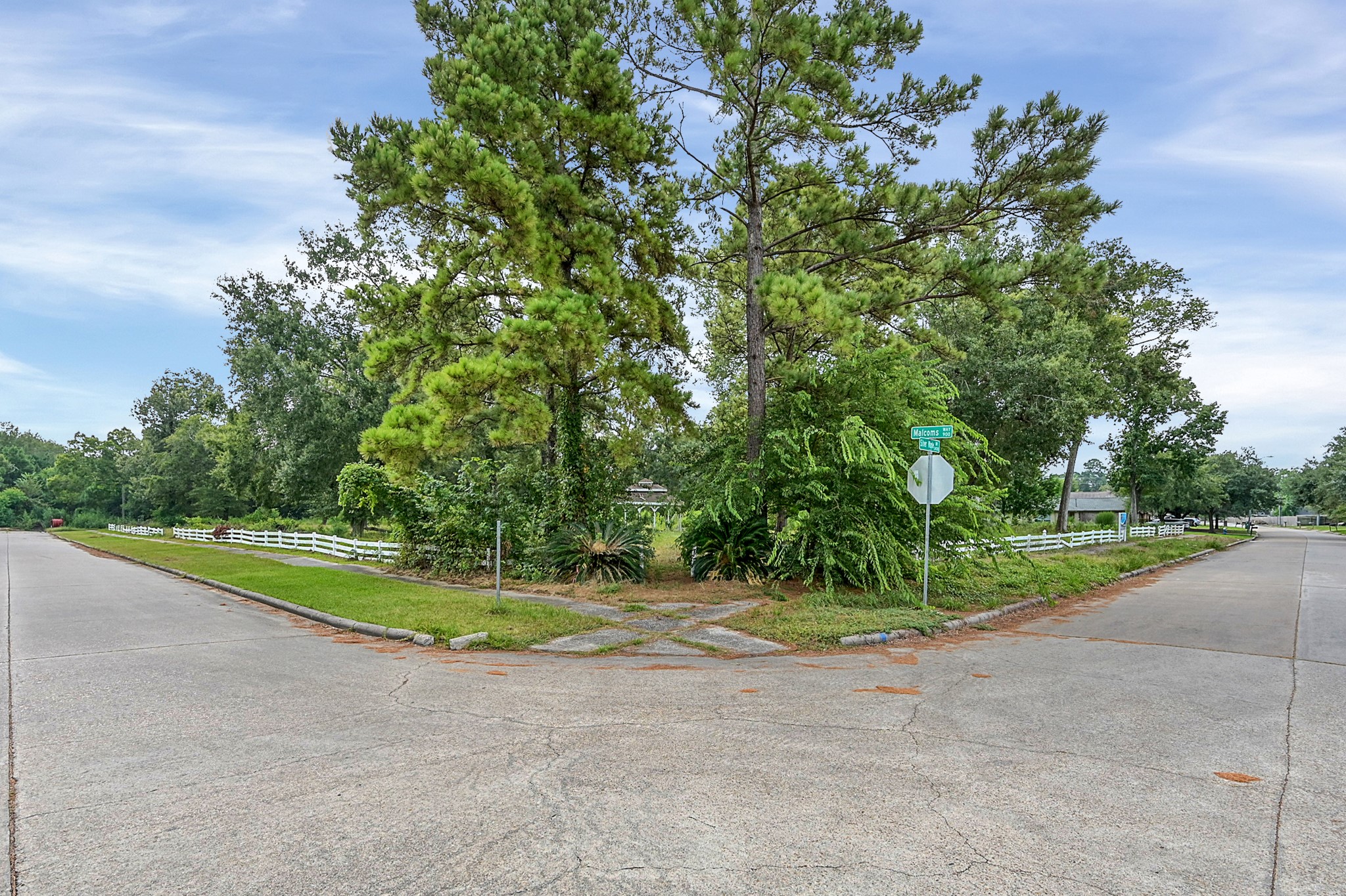 0 Silver Maple Drive Huffman, TX 77336 - Photo 2 of 15 a view of a park with large trees