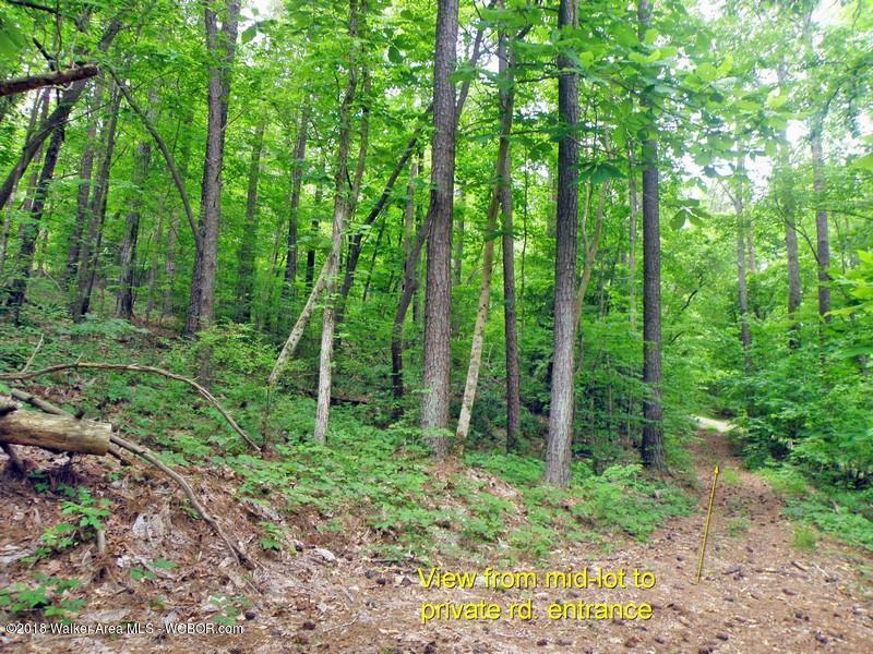 Lot 12 Co Road Jasper, AL 35503 - Photo 12 of 15 Gallery Image 12