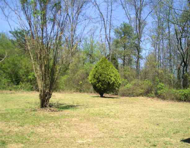 617 Old Rutherford Road Taylors, SC 29687 - Photo 16 of 16
