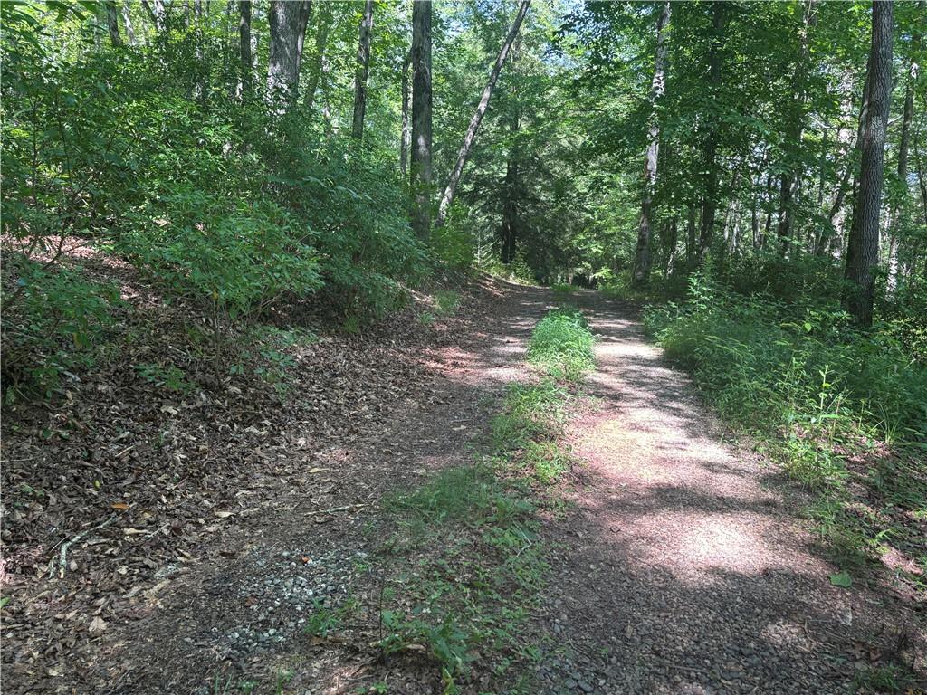 1038 Wilkins Cove Road Suches, GA 30572 - Photo 57 of 89