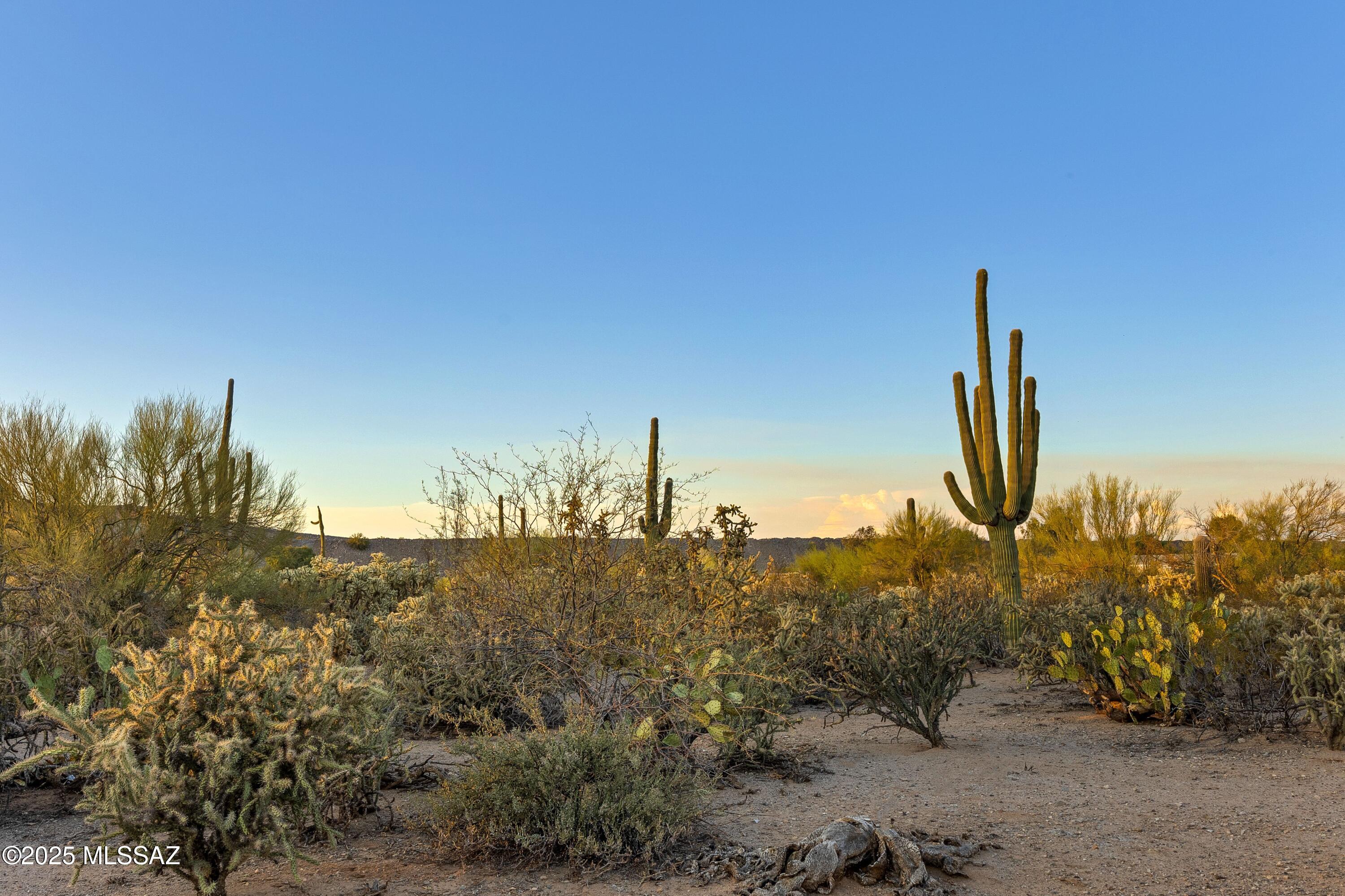 0 West Massingale Road Tucson, AZ 85743 - Photo 12 of 19