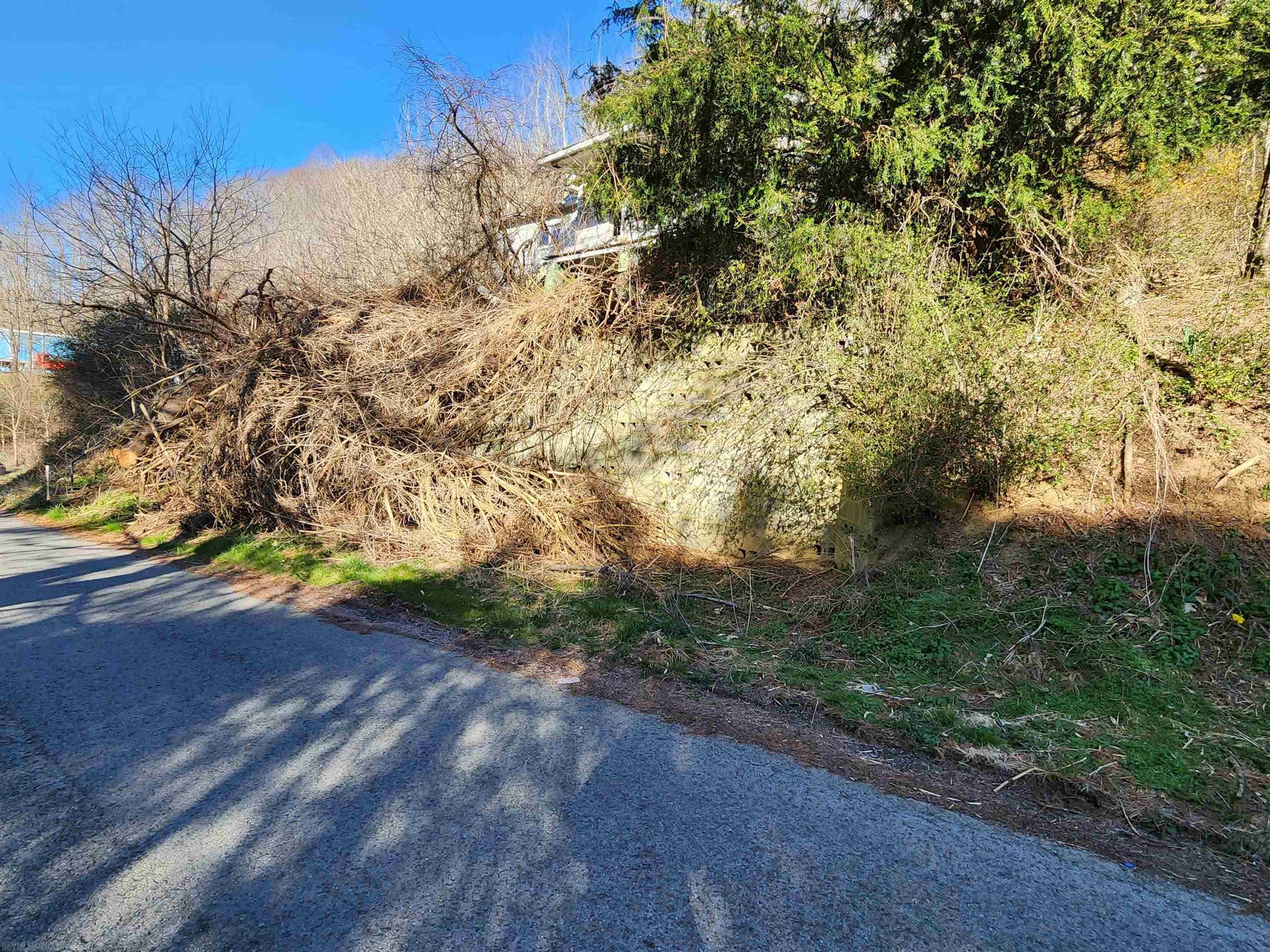 645 Rosenbaum Road Bluefield, VA 24605 - Photo 9 of 23 Gallery Image 9