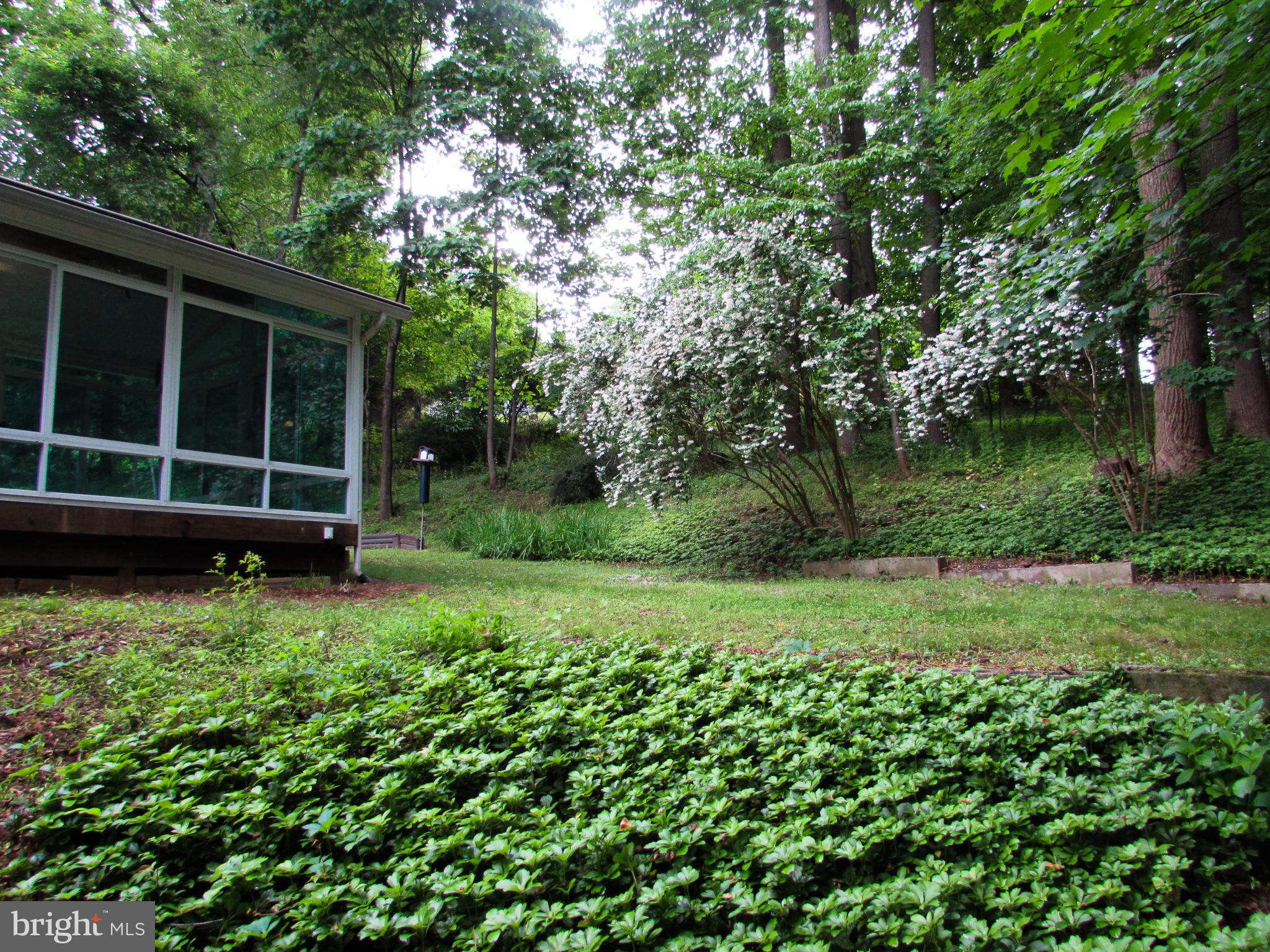 4729 Roundhill Road Ellicott City, MD 21043 - Photo 48 of 48 VIEW FROM STREAM AREA