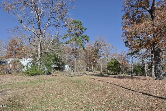 a view of a tree in the middle of a yard