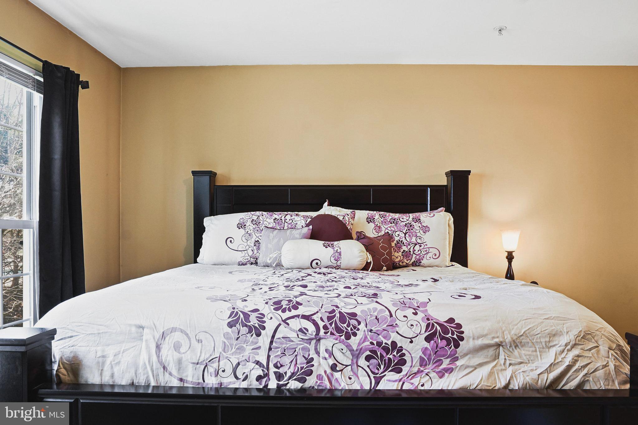 21785 Baldwin Square Sterling, VA 20164 - Photo 24 of 35 MASTER BEDROOM