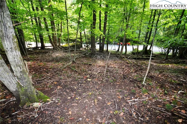 a view of outdoor space with lots of trees