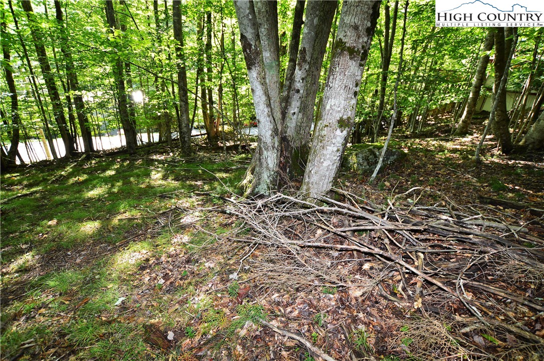 309 Overbrook Trail Beech Mountain, NC 28604 - Photo 11 of 21 a view of outdoor space