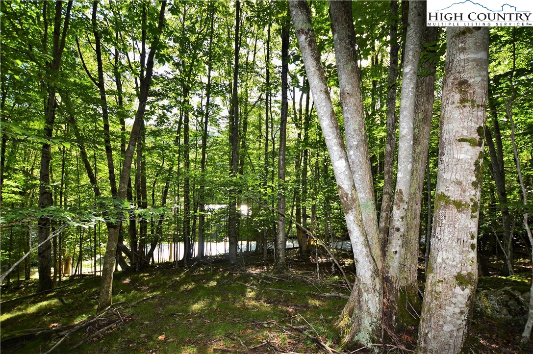 309 Overbrook Trail Beech Mountain, NC 28604 - Photo 12 of 21 a view of yard