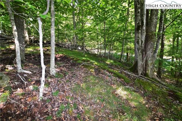 a backyard of a house with lots of green space and a fountain