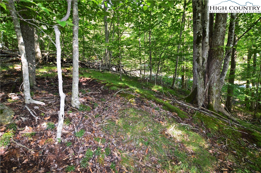 309 Overbrook Trail Beech Mountain, NC 28604 - Photo 13 of 21 a view of outdoor space and yard
