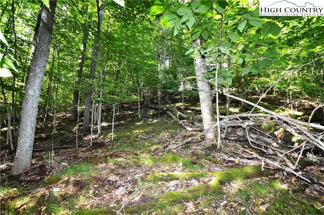 a view of green field