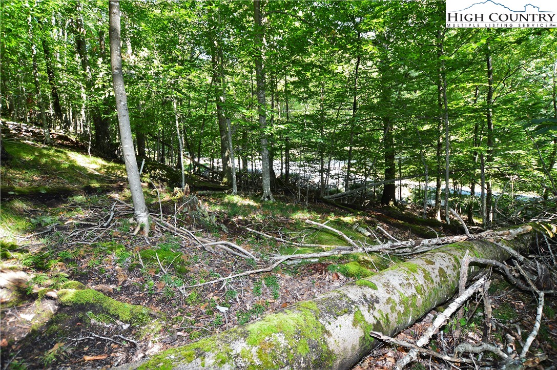 309 Overbrook Trail Beech Mountain, NC 28604 - Photo 18 of 21 a view of green field