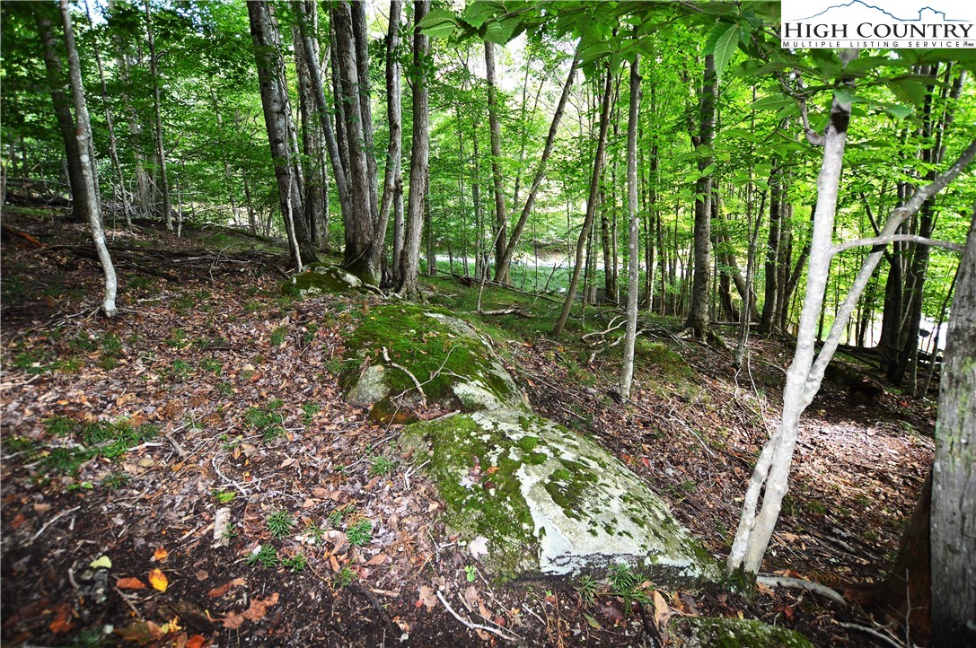 309 Overbrook Trail Beech Mountain, NC 28604 - Photo 19 of 21 a view of outdoor space and trees