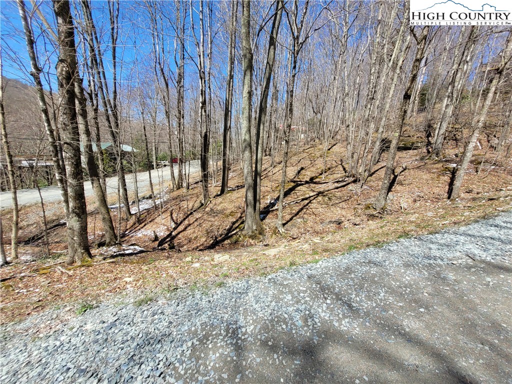 309 Overbrook Trail Beech Mountain, NC 28604 - Photo 2 of 21 a view of yard
