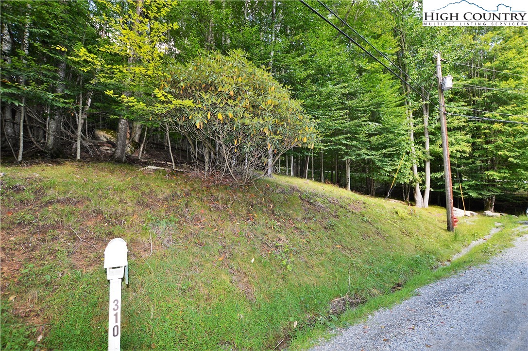 309 Overbrook Trail Beech Mountain, NC 28604 - Photo 21 of 21 a backyard of a house with large trees and plants