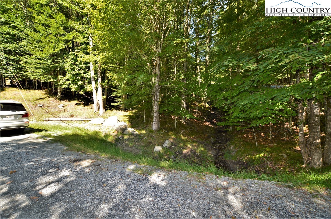 309 Overbrook Trail Beech Mountain, NC 28604 - Photo 3 of 21 a view of yard with green space