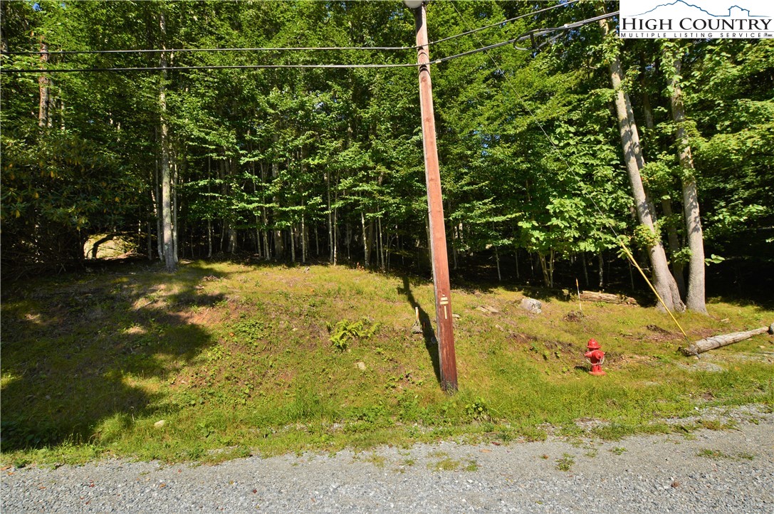 309 Overbrook Trail Beech Mountain, NC 28604 - Photo 5 of 21 a view of a yard with plants