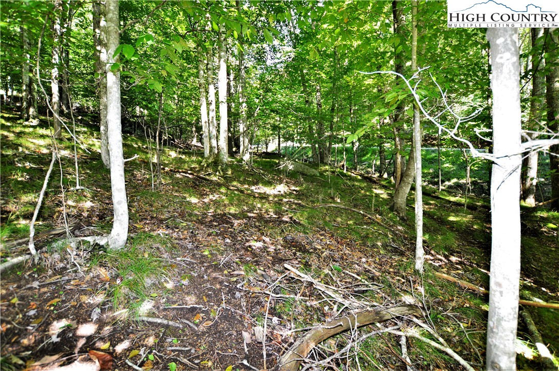 309 Overbrook Trail Beech Mountain, NC 28604 - Photo 6 of 21