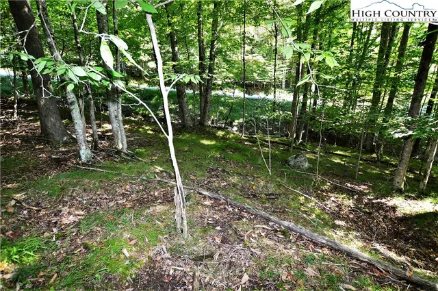 a backyard of a house with lots of green space and fountain