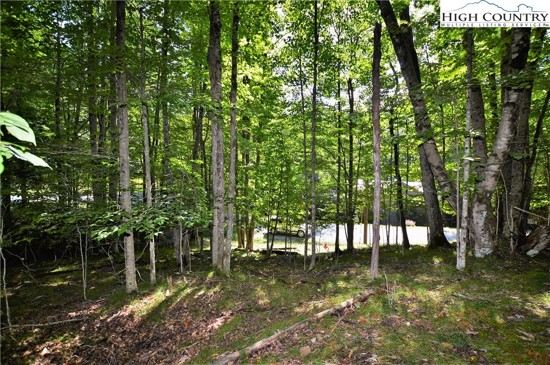 309 Overbrook Trail Beech Mountain, NC 28604 - Photo 9 of 21 a backyard of a house with lots of green space and fountain
