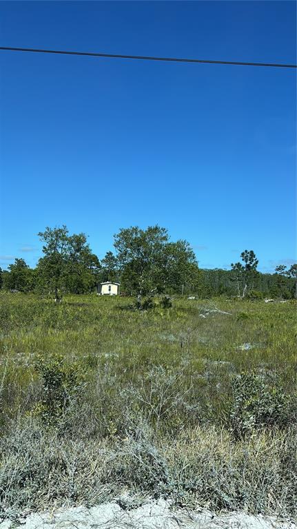 Harris Rd Street St. Cloud, FL 34773 - Photo 5 of 5 a view of an outdoor space with mountain view