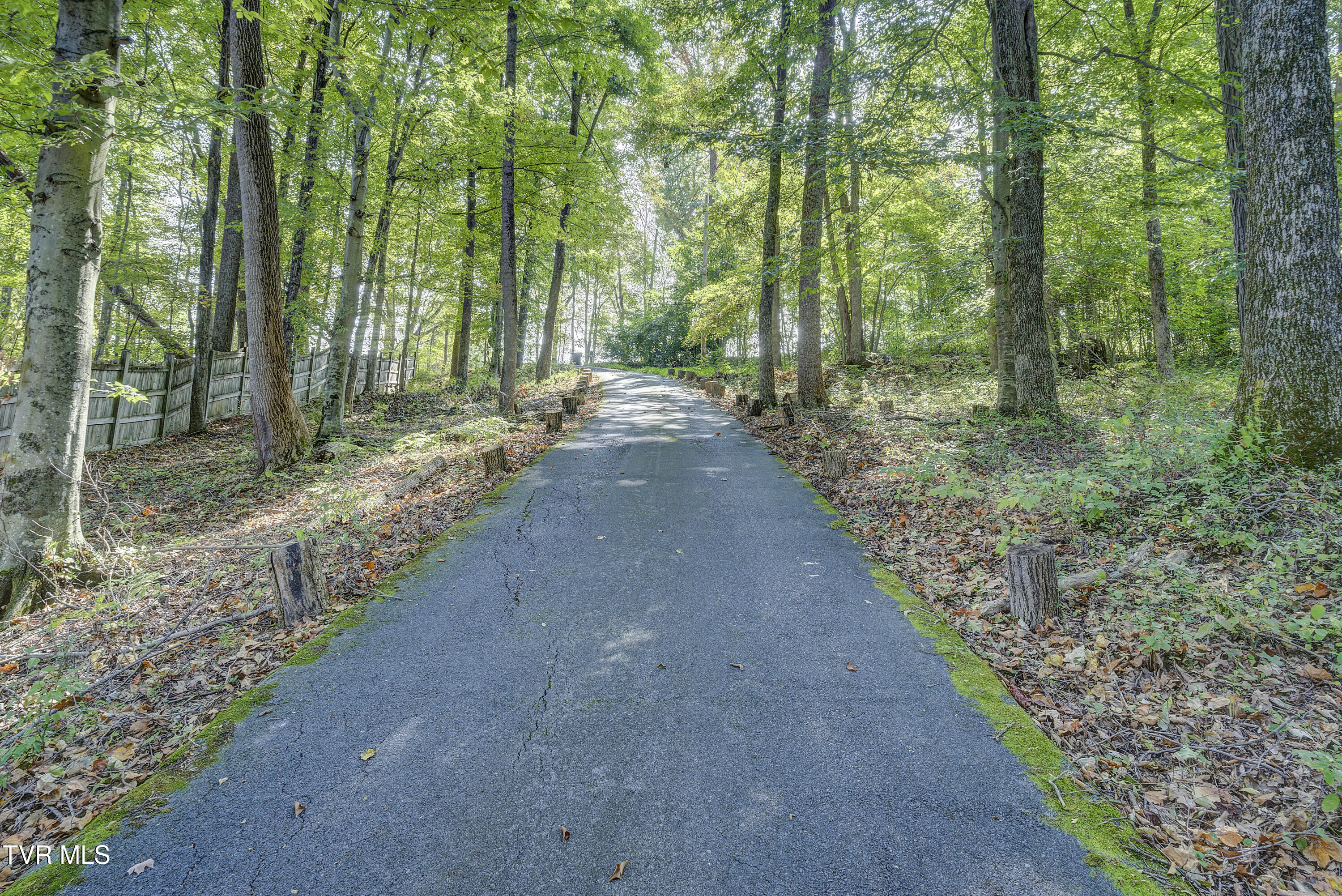 589 Headtown Road Jonesborough, TN 37659 - Photo 77 of 81 Headtown-Exterior-32