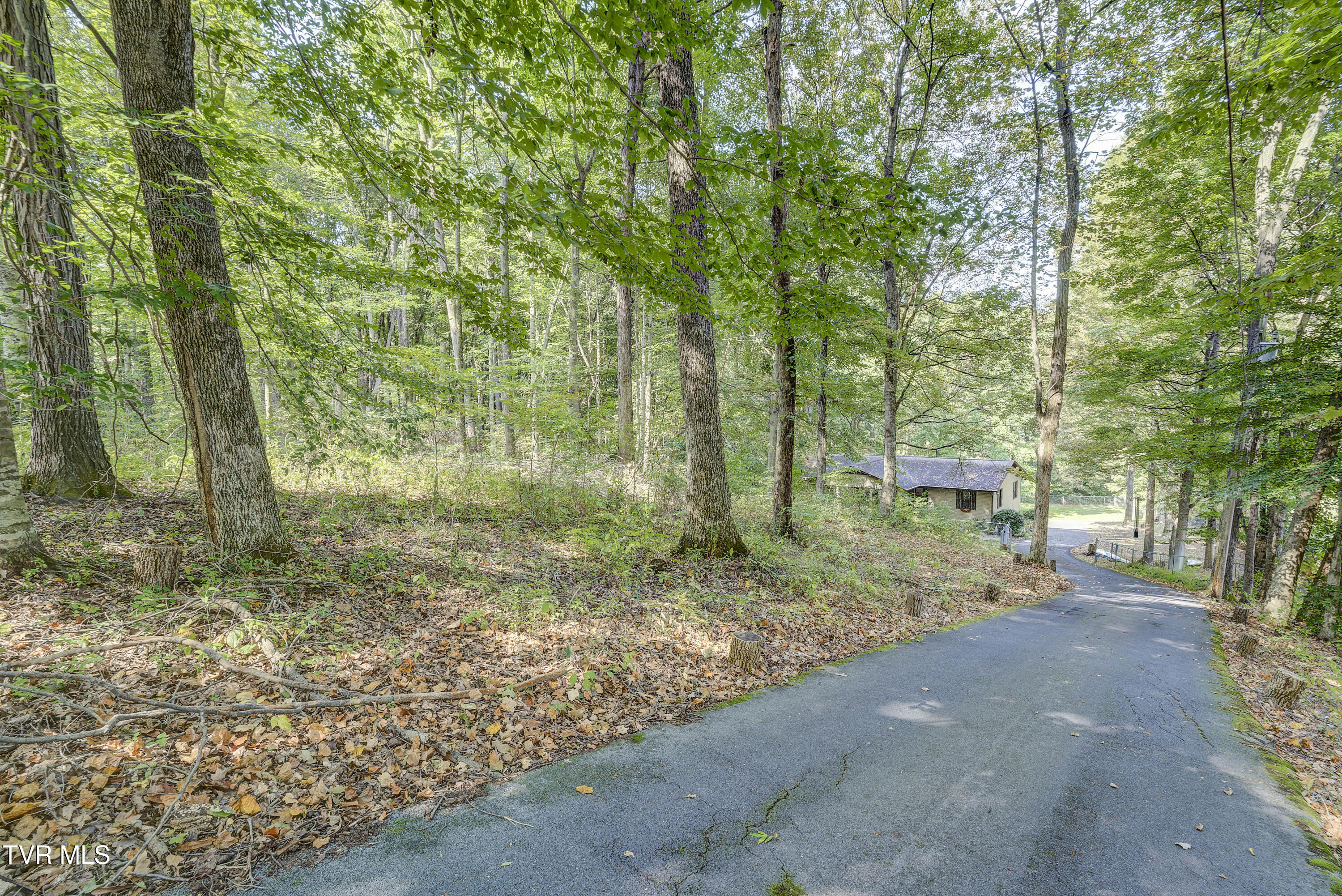 589 Headtown Road Jonesborough, TN 37659 - Photo 78 of 81 Headtown-Exterior-33