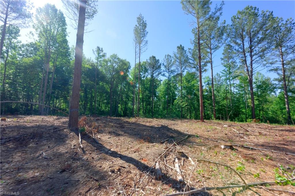0 Carson Road Cleveland, NC 27013 - Photo 5 of 17