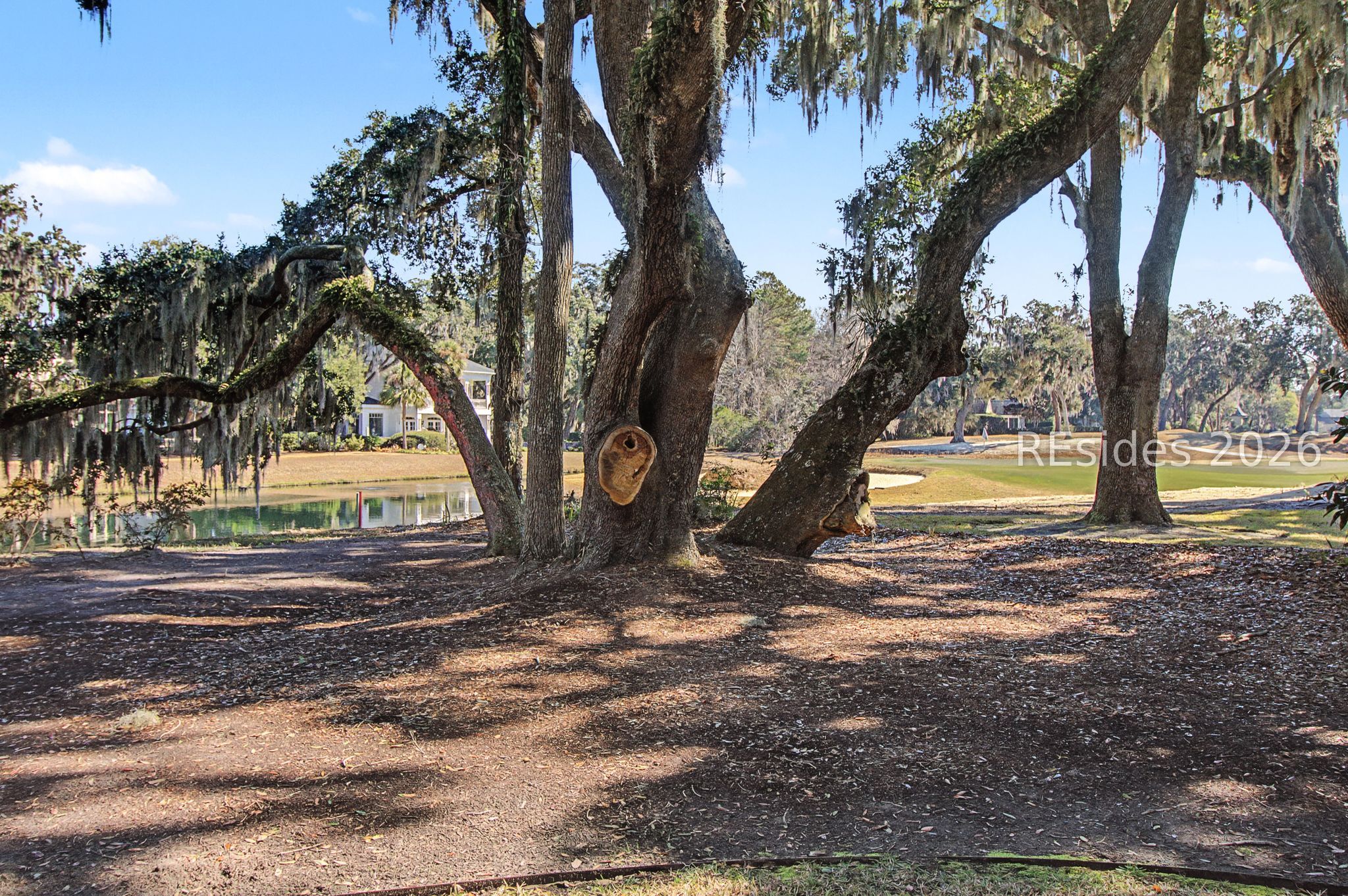 88 Inverness Drive Bluffton, SC 29910 - Photo 42 of 47 Rear view from the patio