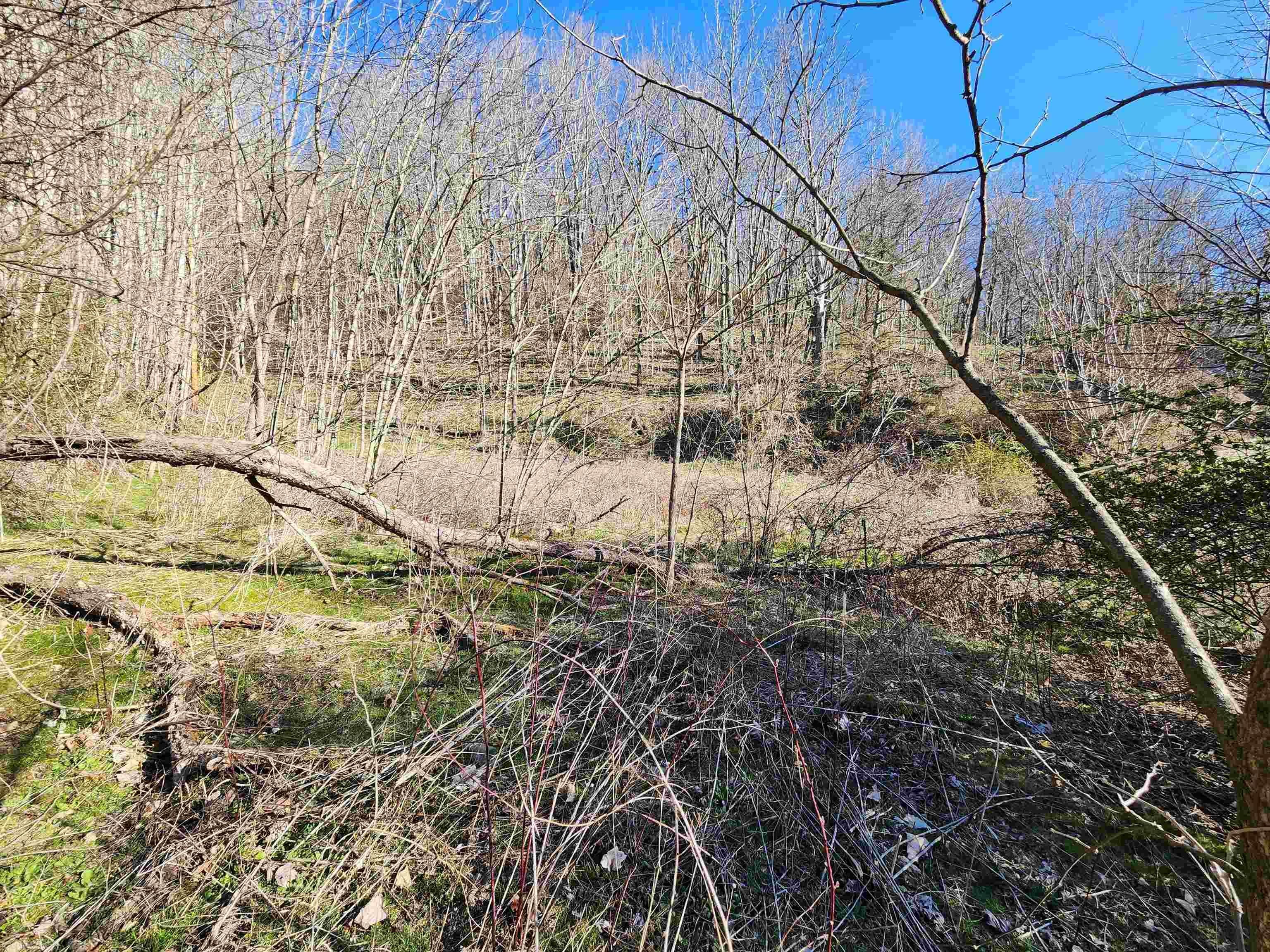 645 Rosenbaum Road Bluefield, VA 24605 - Photo 13 of 23 Gallery Image 13