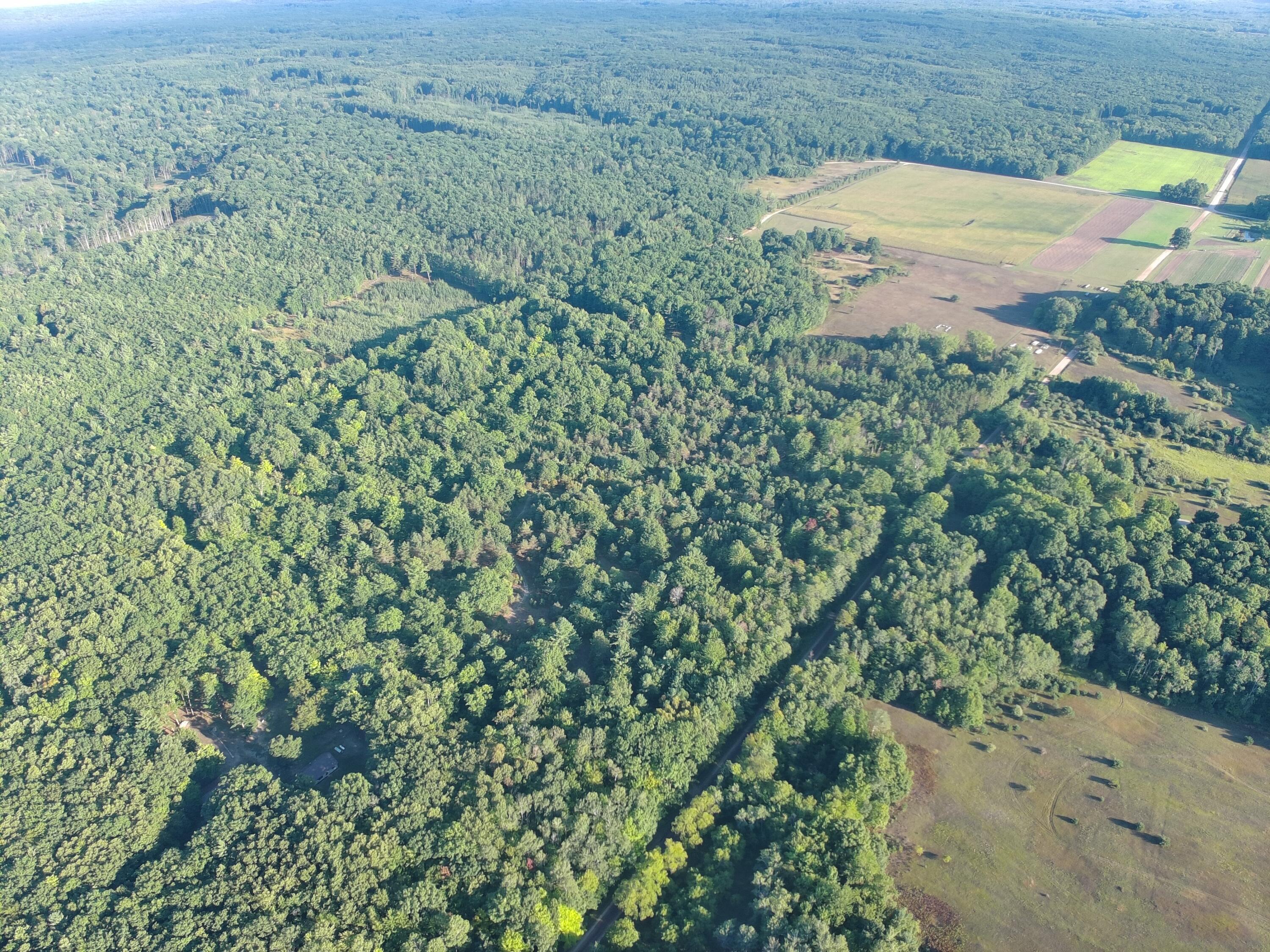 1-5 Clements Road Kaleva, MI 49645 - Photo 16 of 61 MAX_0153