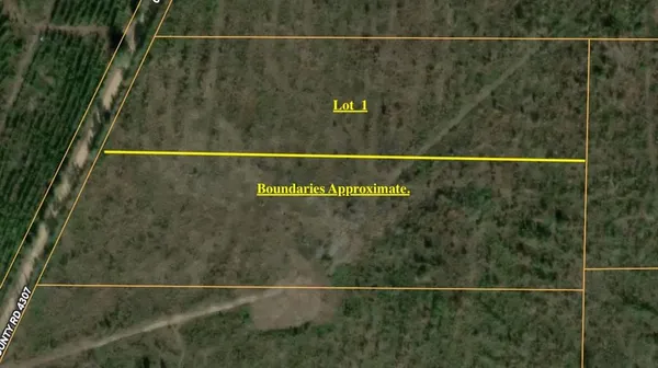 $60,000 | Lot 1 County Road 4507, De Kalb, TX 75559
