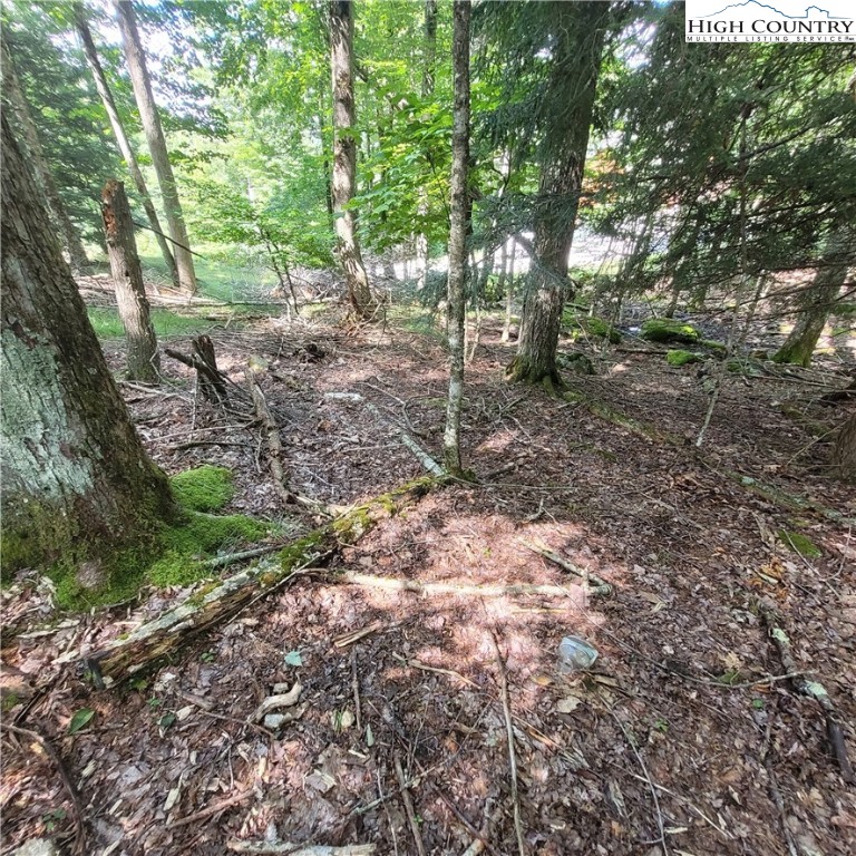 106 Woodridge Road Beech Mountain, NC 28604 - Photo 11 of 20 a view of a forest with trees