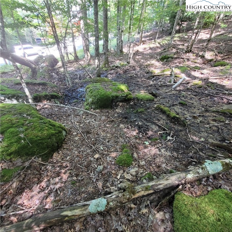 106 Woodridge Road Beech Mountain, NC 28604 - Photo 12 of 20 a view of a yard with plants and large trees
