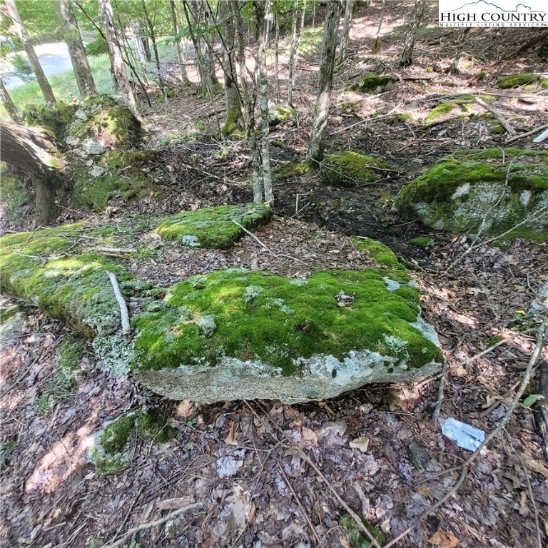 106 Woodridge Road Beech Mountain, NC 28604 - Photo 13 of 20 a view of a garden with large trees
