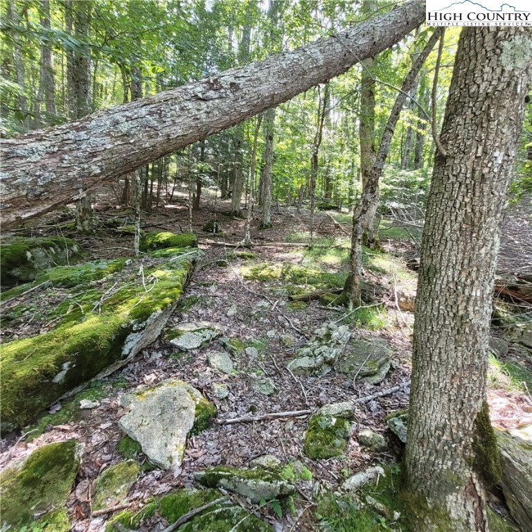 106 Woodridge Road Beech Mountain, NC 28604 - Photo 14 of 20 a backyard of a house with large trees and plants