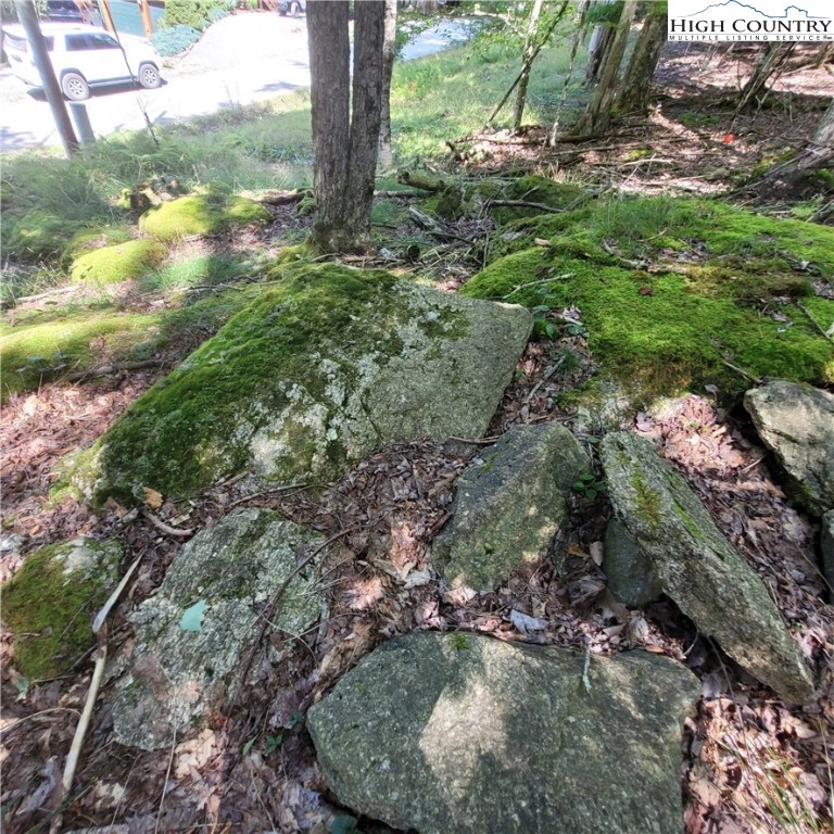 106 Woodridge Road Beech Mountain, NC 28604 - Photo 15 of 20 a view of a yard with plants and a bench