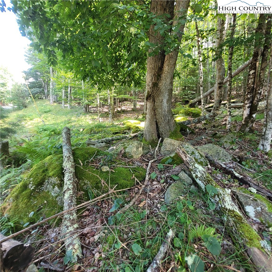 106 Woodridge Road Beech Mountain, NC 28604 - Photo 16 of 20