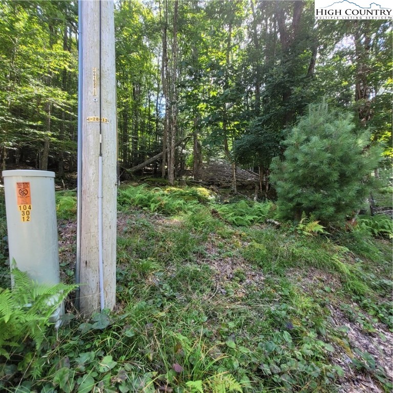 106 Woodridge Road Beech Mountain, NC 28604 - Photo 17 of 20