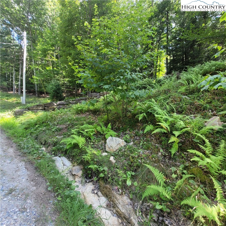 106 Woodridge Road Beech Mountain, NC 28604 - Photo 18 of 20