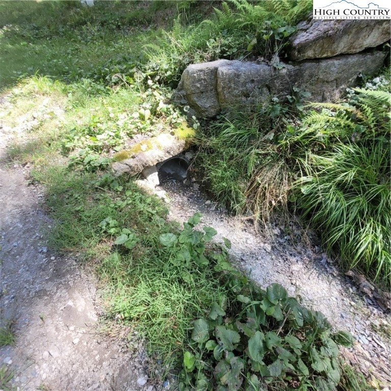 106 Woodridge Road Beech Mountain, NC 28604 - Photo 20 of 20 a view of a garden with a plants