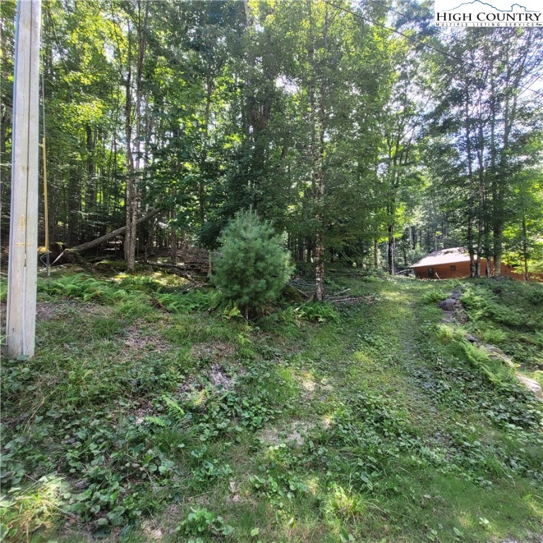 106 Woodridge Road Beech Mountain, NC 28604 - Photo 2 of 20 a view of backyard with green space