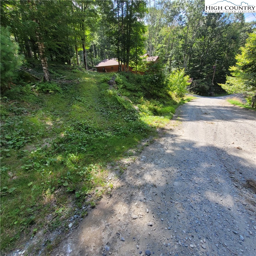 106 Woodridge Road Beech Mountain, NC 28604 - Photo 3 of 20