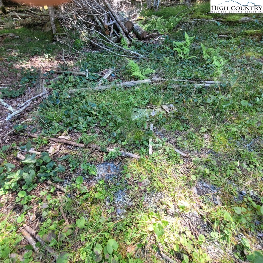 106 Woodridge Road Beech Mountain, NC 28604 - Photo 4 of 20