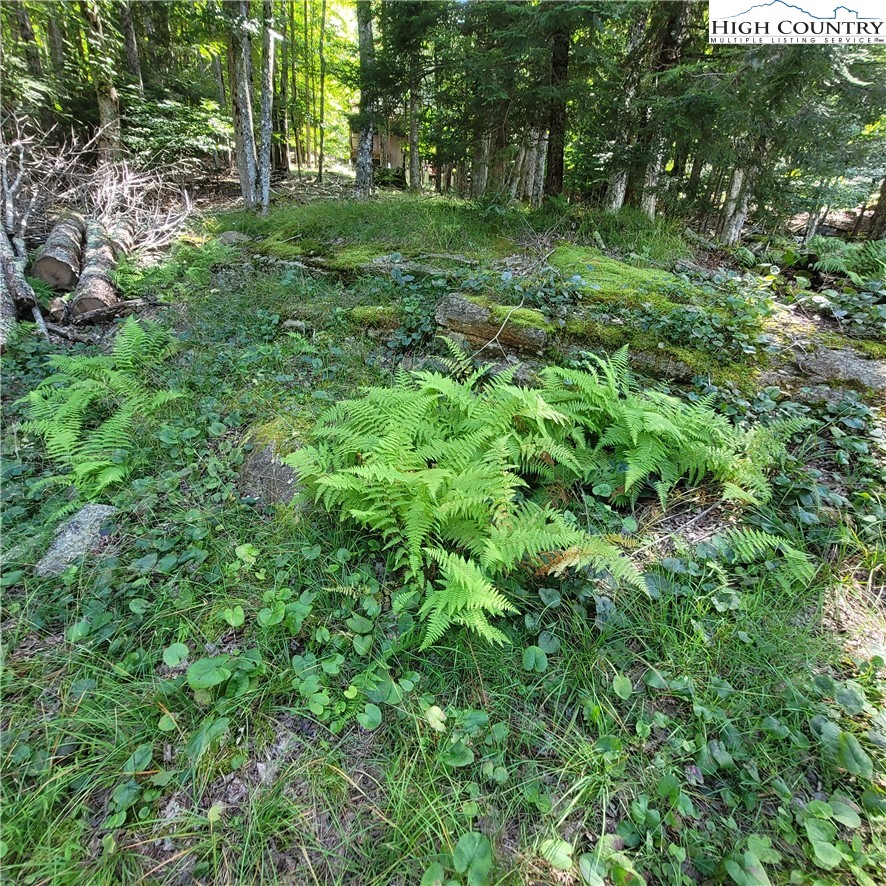 106 Woodridge Road Beech Mountain, NC 28604 - Photo 5 of 20