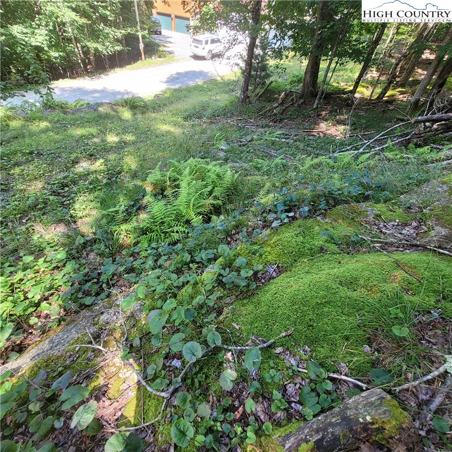 106 Woodridge Road Beech Mountain, NC 28604 - Photo 6 of 20