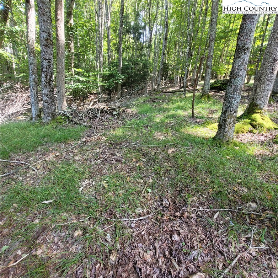 106 Woodridge Road Beech Mountain, NC 28604 - Photo 7 of 20
