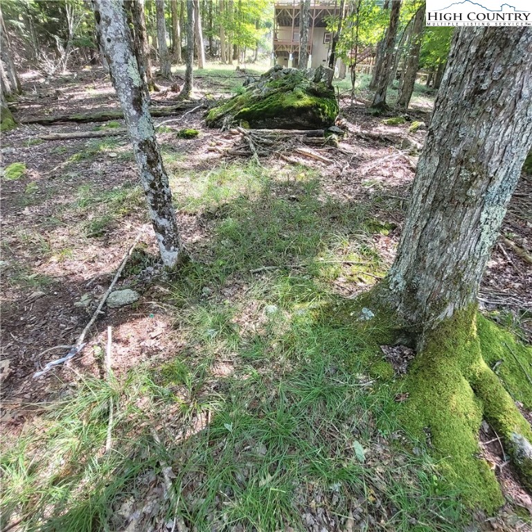 106 Woodridge Road Beech Mountain, NC 28604 - Photo 8 of 20 a view of a tree in a yard
