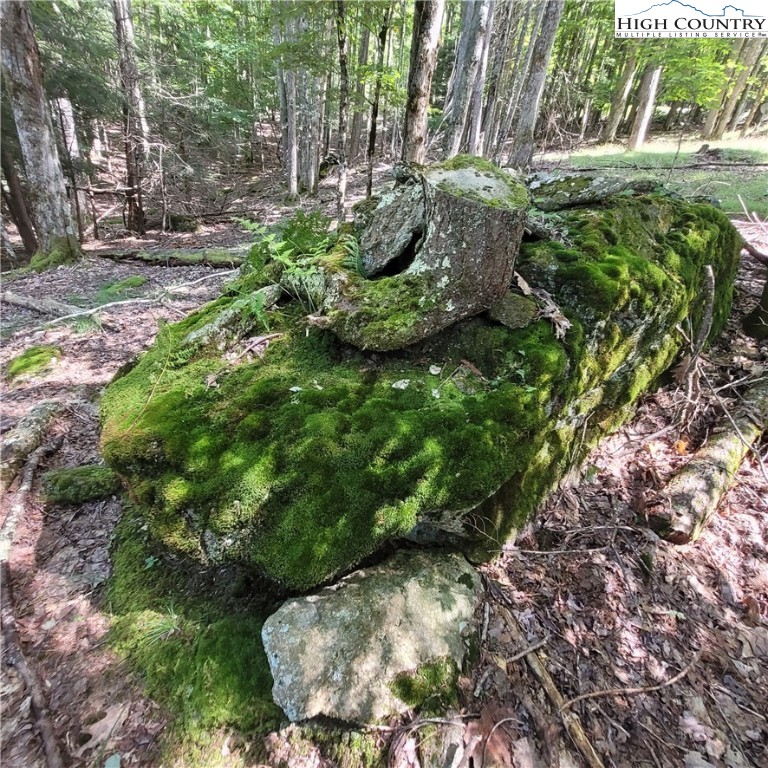 106 Woodridge Road Beech Mountain, NC 28604 - Photo 9 of 20 a view of a garden with plants